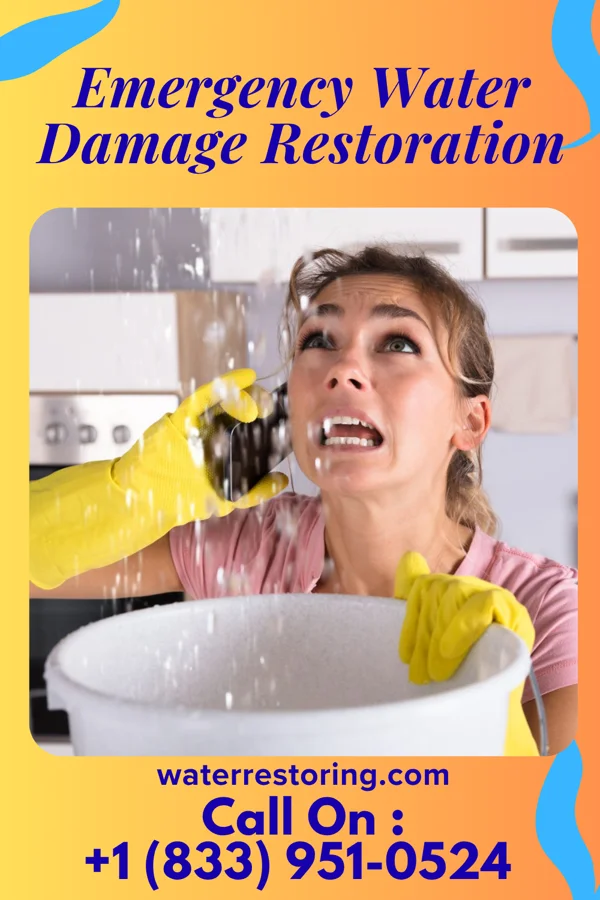 Emergency Water Damage Restoration in Creekside, KY